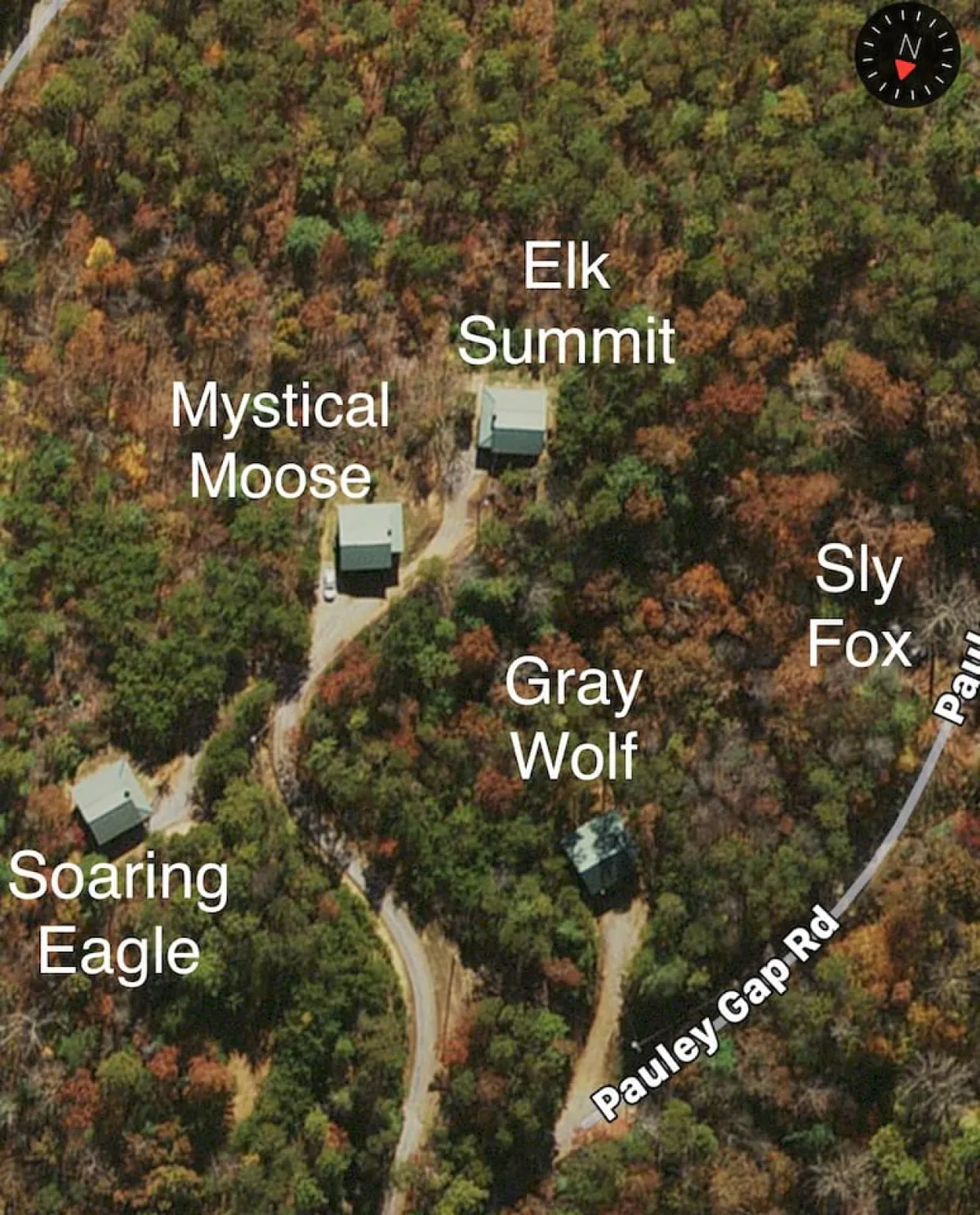 A broad exterior view showcasing multiple cabins (including Gray Wolf) within a tranquil, wooded resort setting. The area is open and communal, ideal for socializing, exploring, and, importantly, for access to shared amenities like a Pet Park.