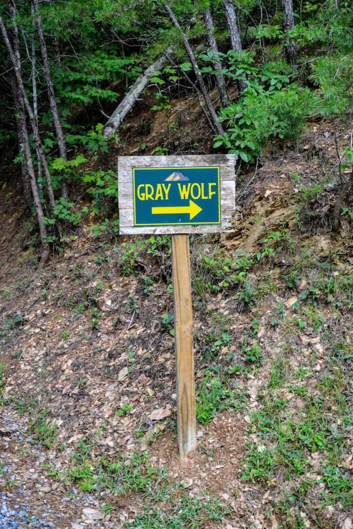 A rustic signpost labeled 'GRAY WOLF' stands along a dirt path surrounded by lush greenery, suggesting access to nature trails and outdoor exploration opportunities right from the property.